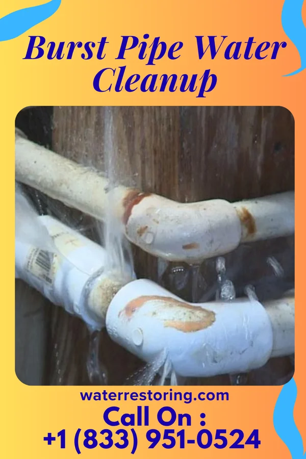 Burst Pipe Water Cleanup in Bazile Mills, NE